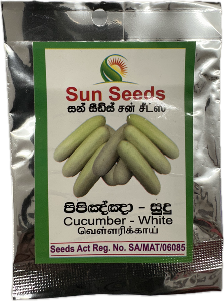 Cucumber White Seeds (පිපිඤ්ඤා සුදු)