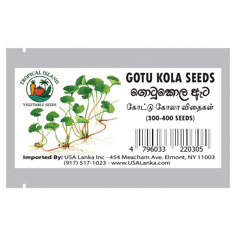 gotu kola plant seeds Gotukola Seeds (ගොටුකොල / வல்லாரை ) 300-400 Seeds