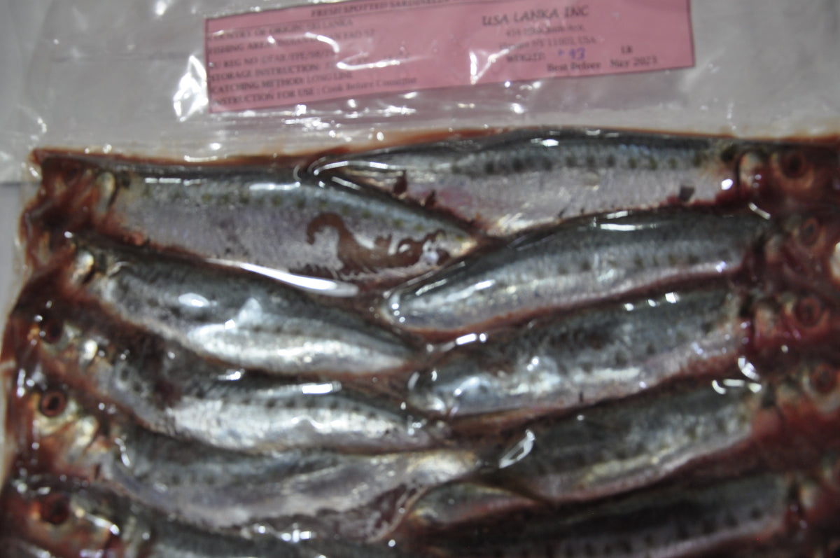 Fresh Sri Lankan Hurulla Fish - 2LB – LakFood