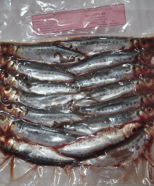 Fresh Sri Lankan Hurulla Fish - 2LB – LakFood