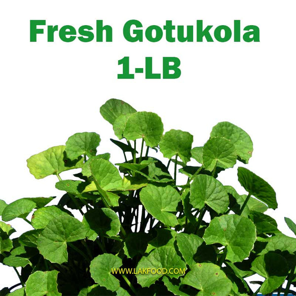 Fresh Gotukola (ගොටුකොල /வல்லாரை ) - 1-LB