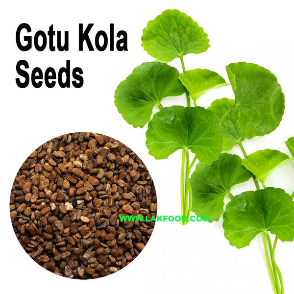 Gotukola Seeds (ගොටුකොල / வல்லாரை ) 300-400 Seeds