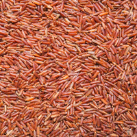 Sierra Red Basmathi Rice 10LB (රතු බාස්මතී)