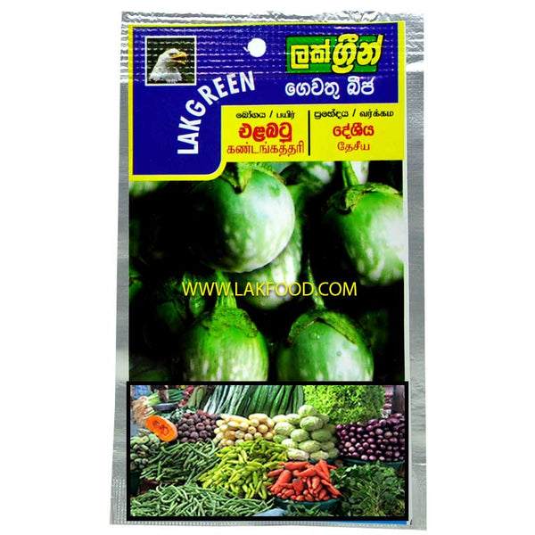 Thai Egg Plant Seeds