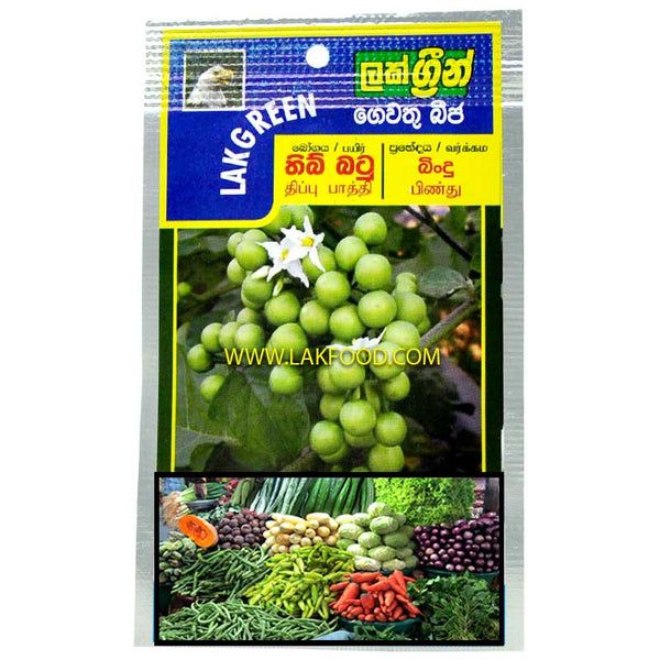 Turkey Berry Seeds